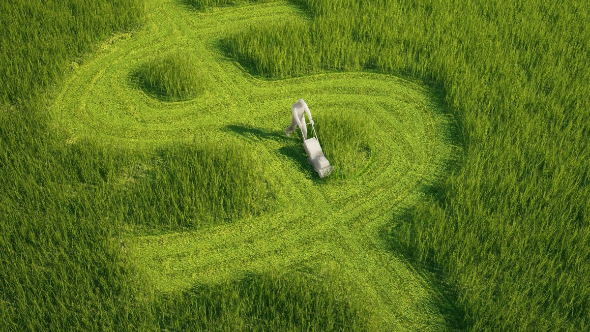سبزه-سبز-طبیعت